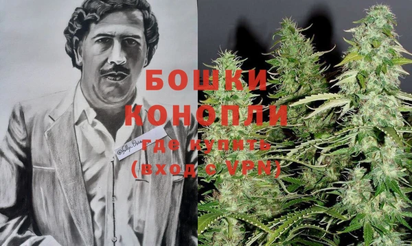 ешки Новозыбков