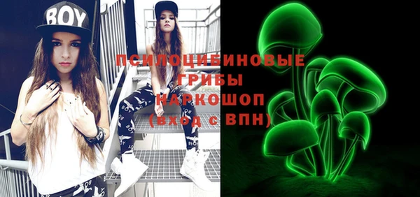 ешки Новозыбков