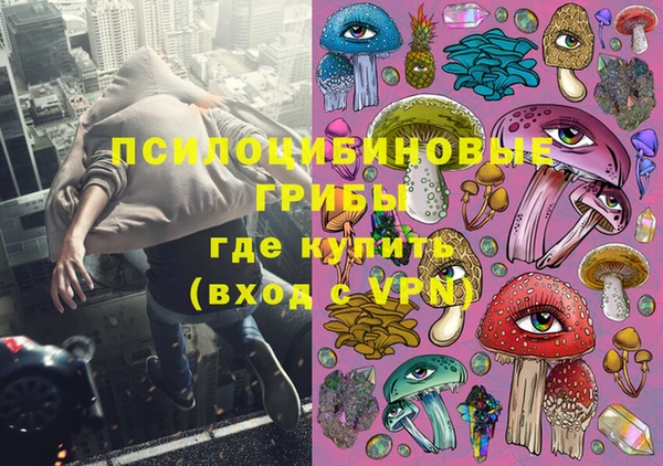 бошки Нефтегорск
